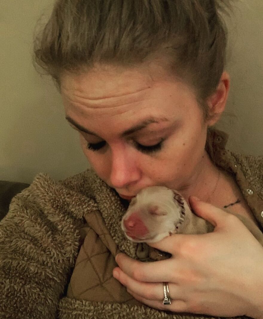 Meet Rae, The Unicorn Dog Who Appeared In Her Owner's Life To Save Her Meet Rae, The Unicorn Dog Who Appeared In Her Owner's Life To Save Her