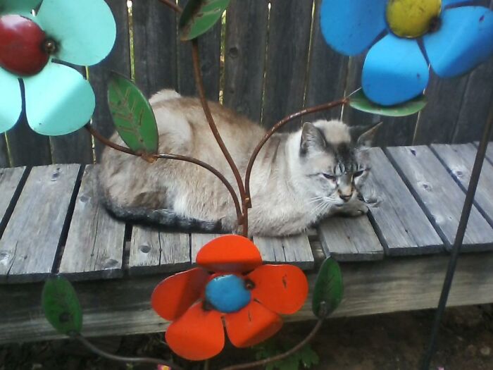 14 Year Old - Sebastian