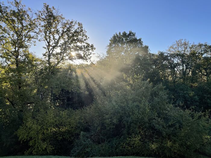 The Morning View From My Flat