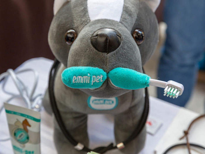 &ldquo;I&rsquo;m Upset That They Couldn&rsquo;t Explain That Decision&rdquo;: Guy Is Livid After Learning Vet Did A Surprise Tooth Extraction During His Pup&rsquo;s Neutering