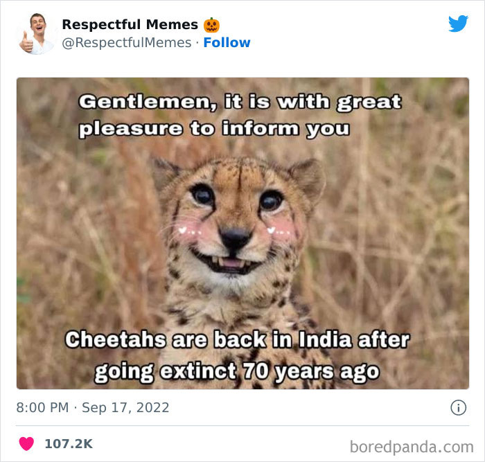 Kind-Respectful-Memes