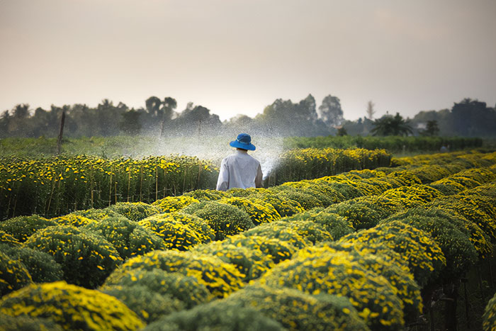 Volunteer For Agriculture Farming Programs
