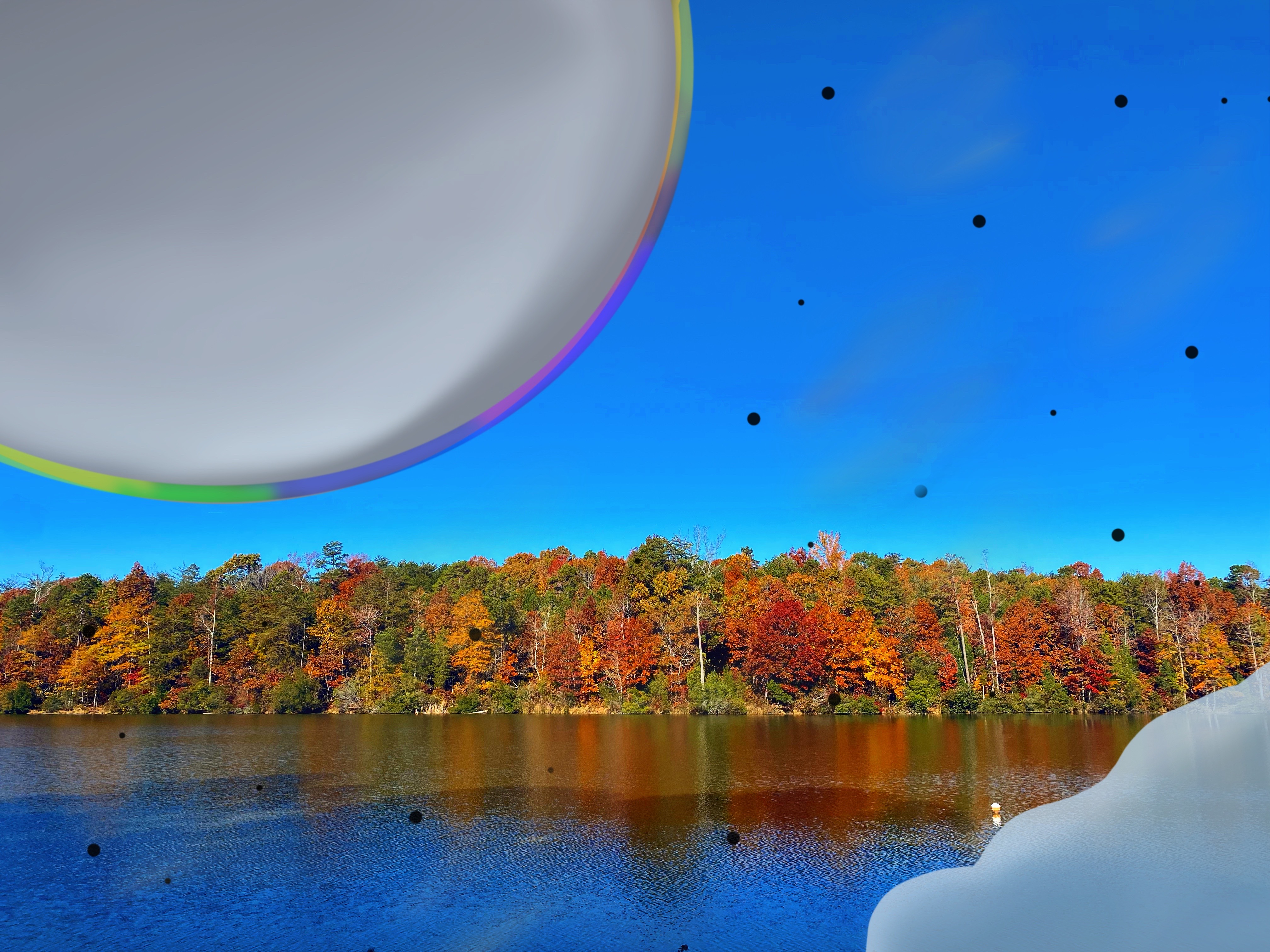 My Retina Detached And This Is What It Looked Like “Through My Eyes”