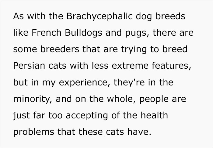 Veterinary Surgeon Reveals Cat And Dog Breeds He'd Never Buy And Explains Why Veterinary Surgeon Reveals Cat And Dog Breeds He'd Never Buy And Explains Why