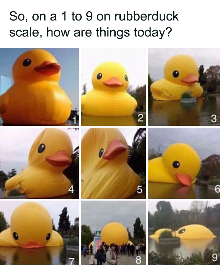 Funny-Questionable-Tweets