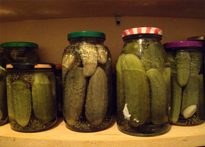 45 Of The Most Amusing Child-Friendly Insults That Members Of This Online Group Couldn't Resist Sharing With Others