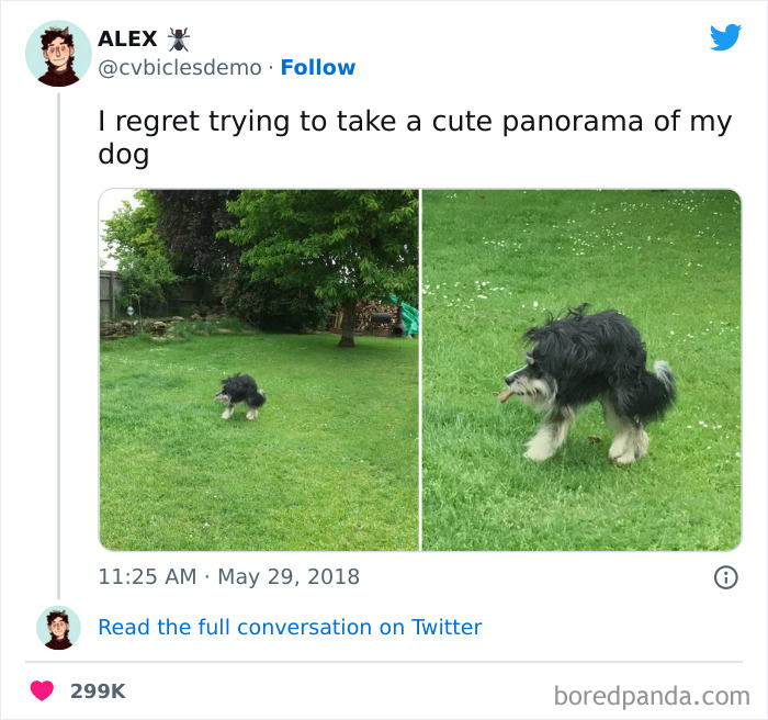 Funniest Tweets Of All Time