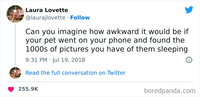 Funniest Tweets Of All Time