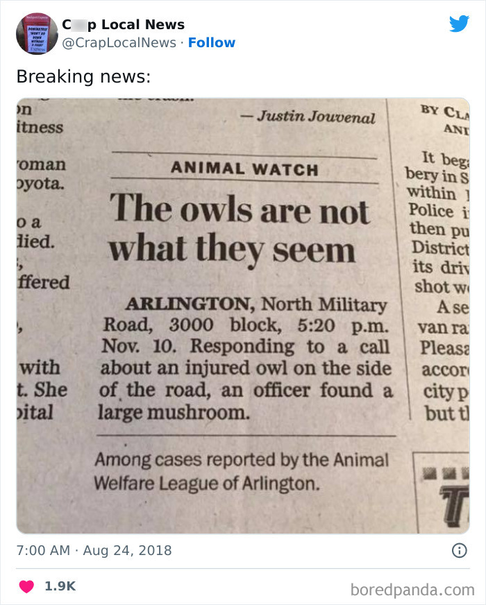 Weird-Funny-News-Headlines