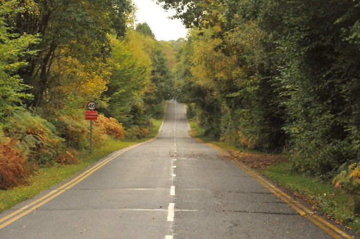 “What Did The Pandemic Ruin More Than We Realize?” (30 Answers)