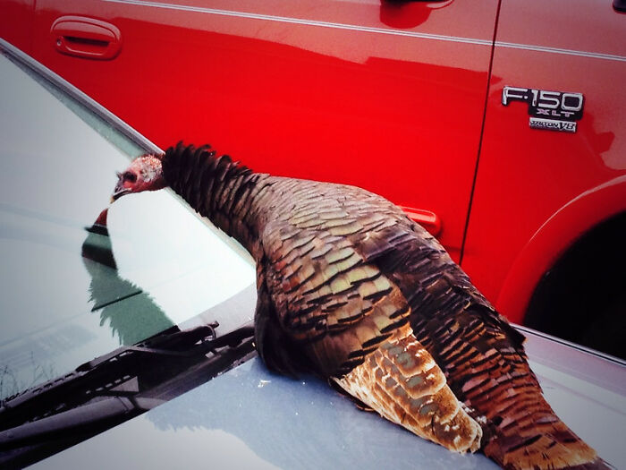 In This Viral Thread, People Are Exchanging Tips And Hacks For Living A Better Life (30 Answers)