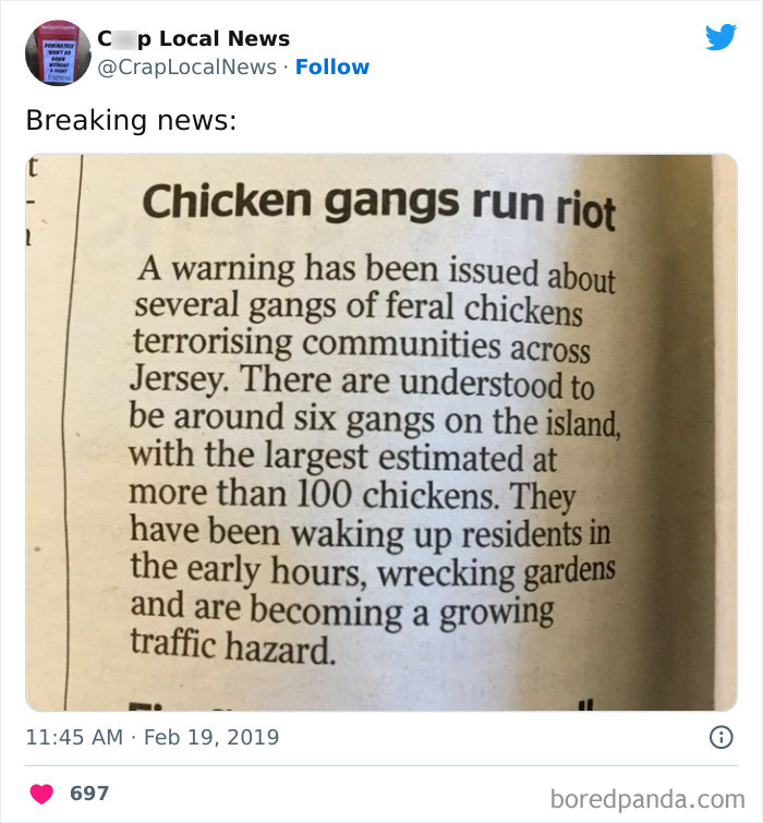 Weird-Funny-News-Headlines