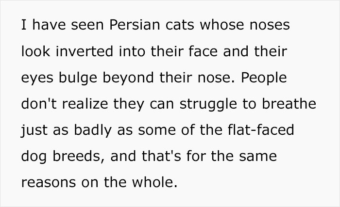 Veterinary Surgeon Reveals Cat And Dog Breeds He'd Never Buy And Explains Why Veterinary Surgeon Reveals Cat And Dog Breeds He'd Never Buy And Explains Why