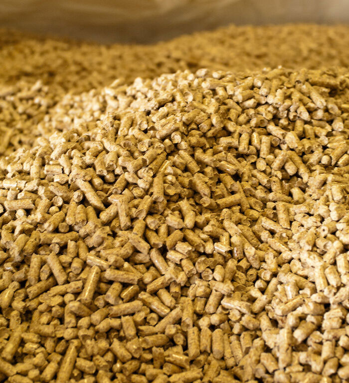 In This Viral Thread, People Are Exchanging Tips And Hacks For Living A Better Life (30 Answers)