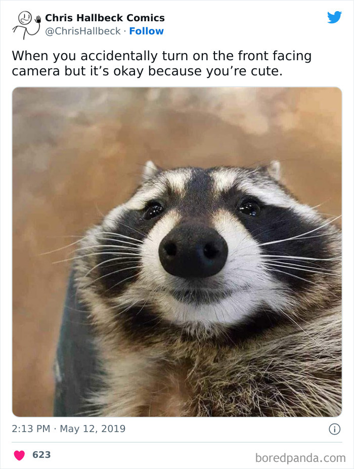 Memes-Jokes-To-Discuss-In-Therapy