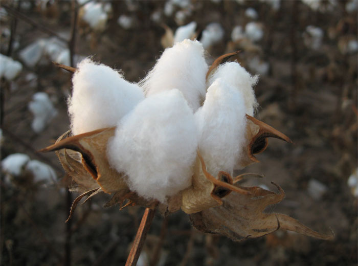 45 Of The Most Amusing Child-Friendly Insults That Members Of This Online Group Couldn't Resist Sharing With Others