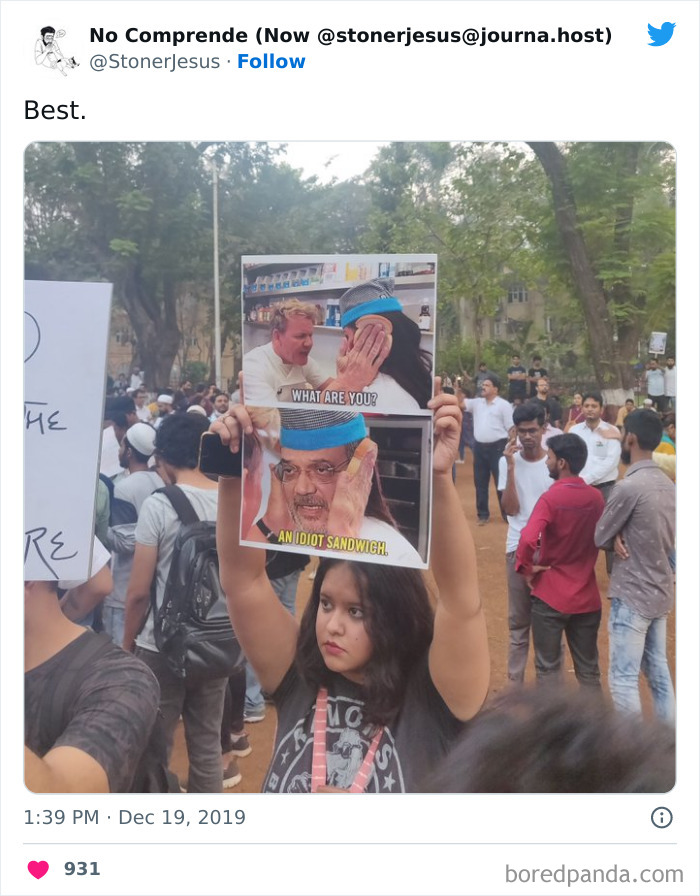 Gordon Never Disappoints