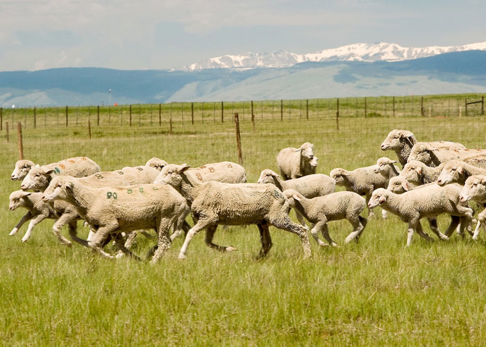 30 Peculiar Things That Seem Normal In Some Countries But Not In The Rest Of The World