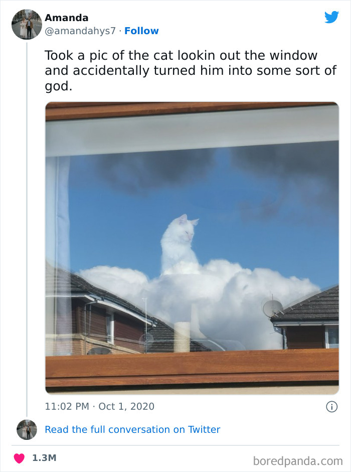 Wholesome meme featuring a cat at a window, appearing like a god in the clouds, shared on a popular Twitter account.