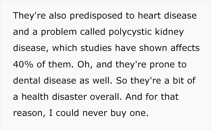 Veterinary Surgeon Reveals Cat And Dog Breeds He'd Never Buy And Explains Why Veterinary Surgeon Reveals Cat And Dog Breeds He'd Never Buy And Explains Why