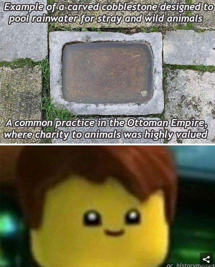 Carved cobblestone pooling rainwater for stray animals showing historic nature care and charity to living things.