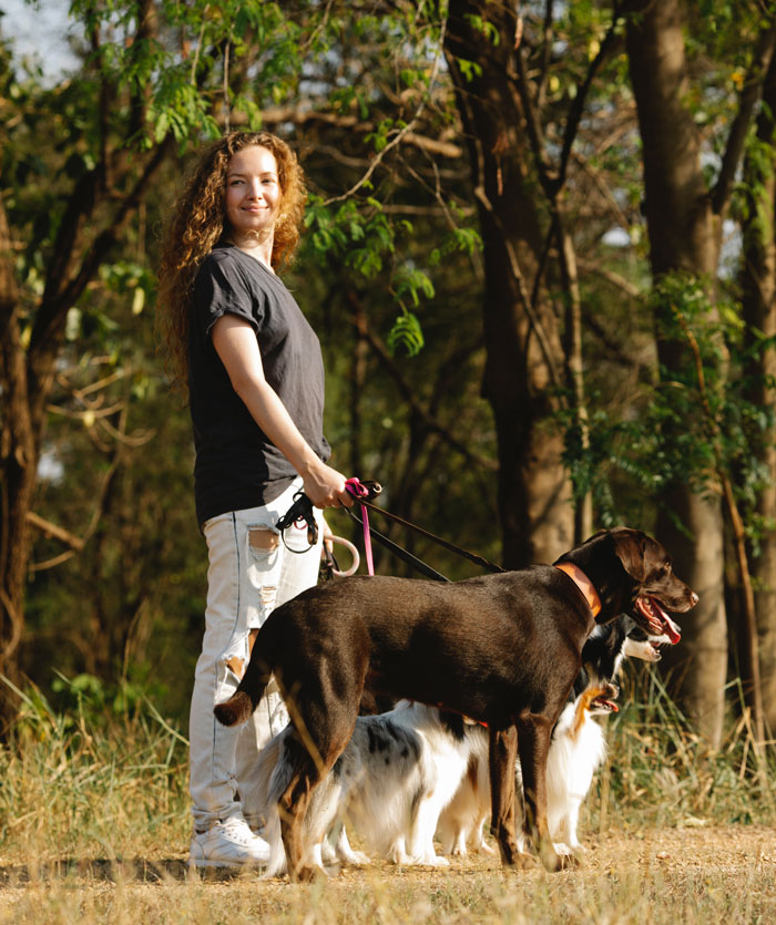 Offer Dog-Walking Services