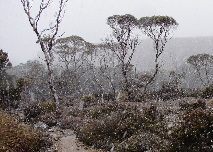 30 Peculiar Things That Seem Normal In Some Countries But Not In The Rest Of The World