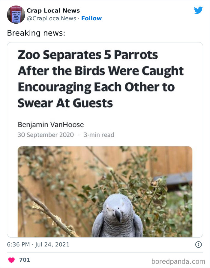 Weird-Funny-News-Headlines