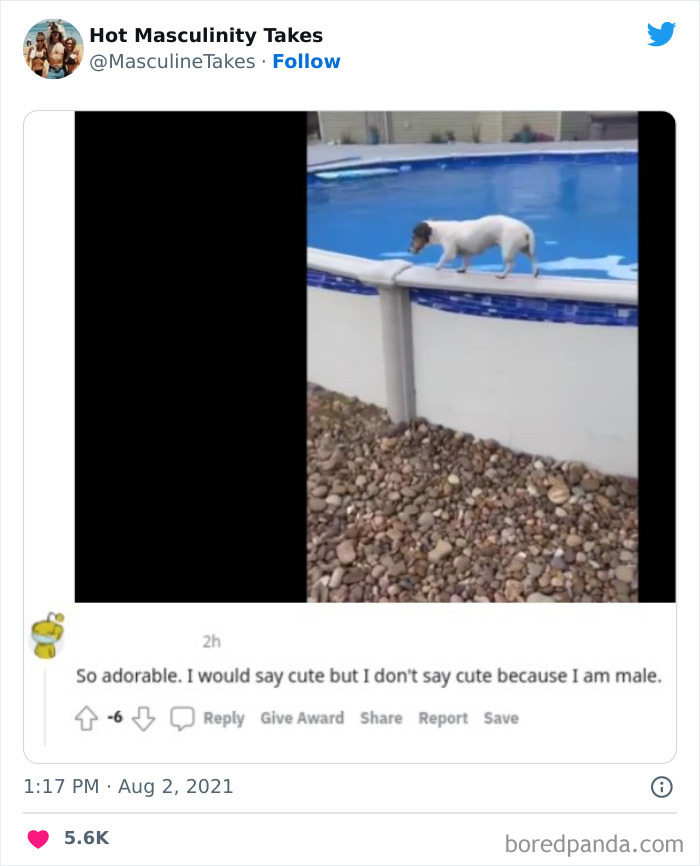 Cringe-Masculinity-Takes-Twitter