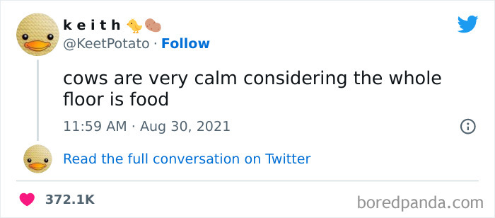 Funniest Tweets Of All Time