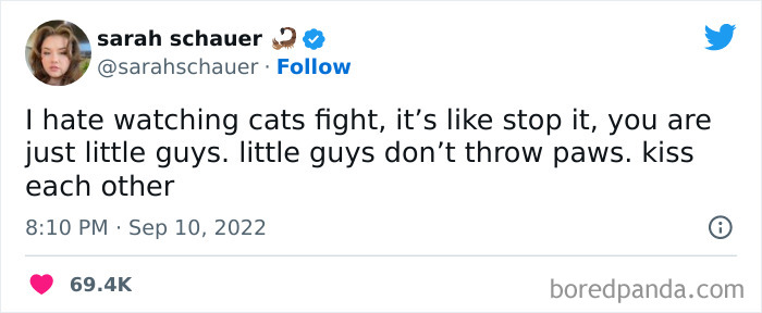 Tweet from a woman humorously comparing cat fights to little guys, featured among funniest tweets from women this week.
