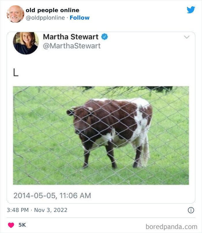 Old-People-Online-Social-Media