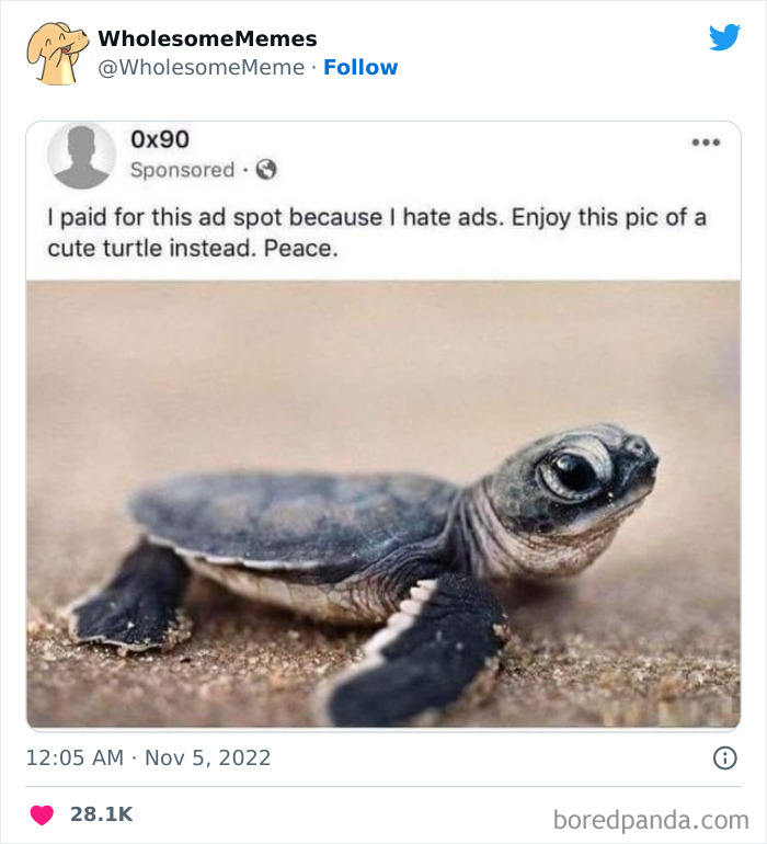 Wholesome-Memes-Pics