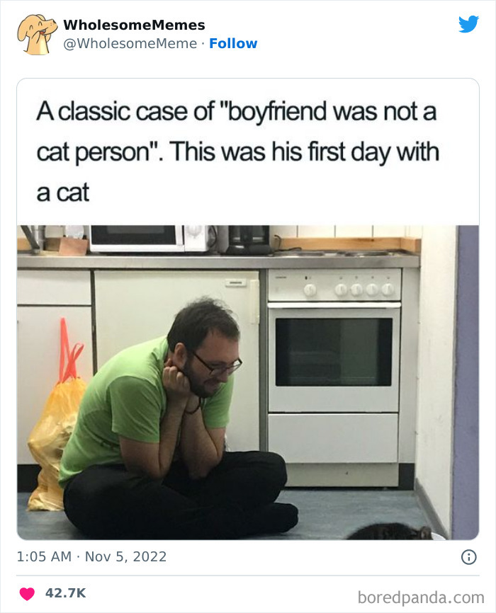 Wholesome-Memes-Pics