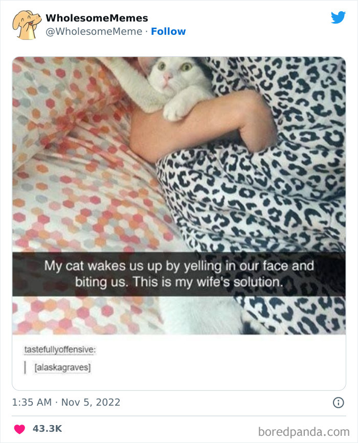 Wholesome-Memes-Pics