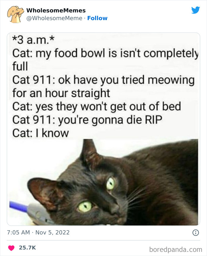 Wholesome-Memes-Pics