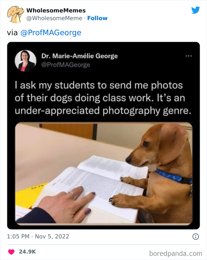 Wholesome-Memes-Pics