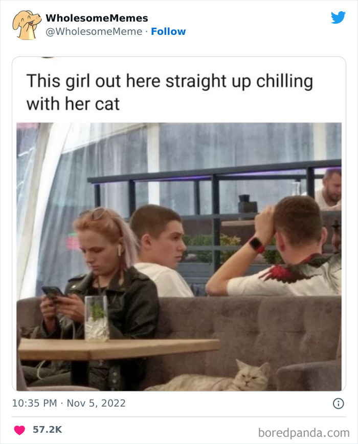 Wholesome-Memes-Pics