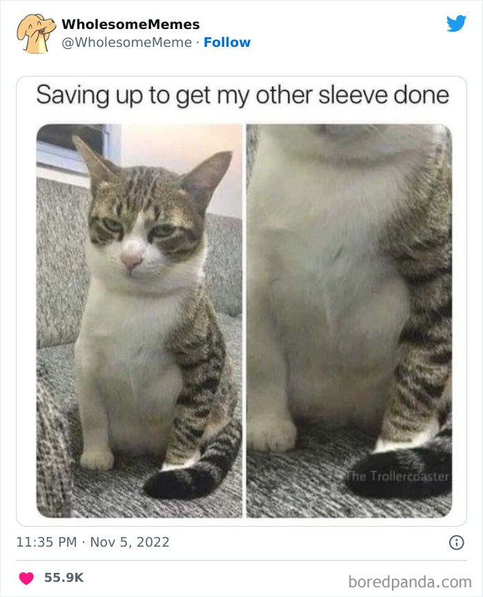 Wholesome-Memes-Pics