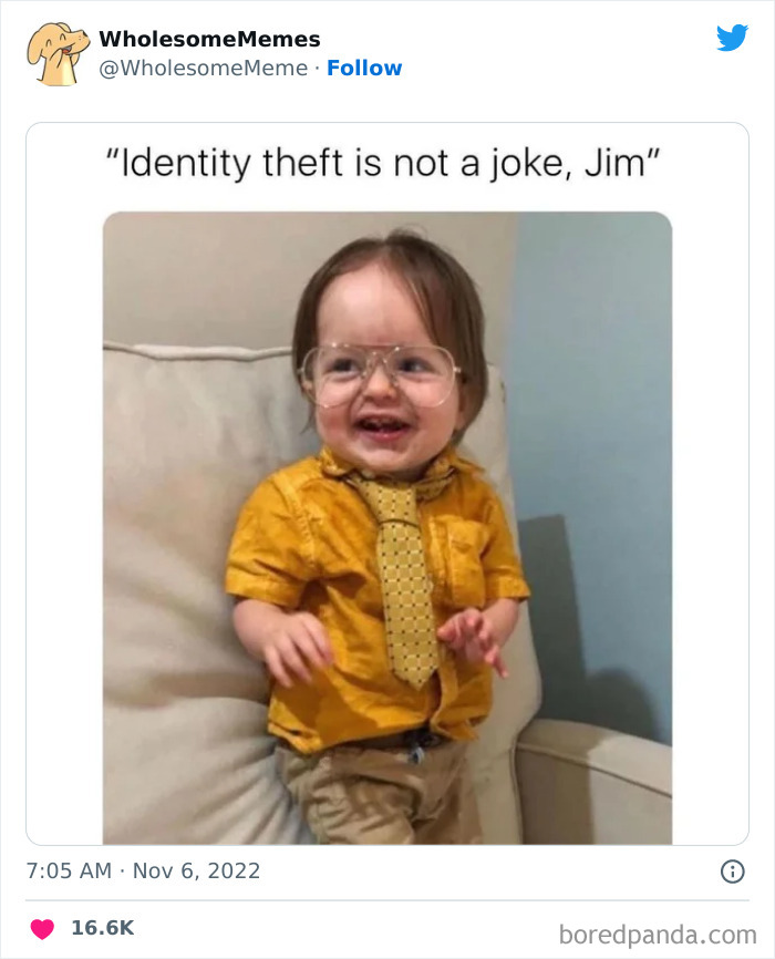 Wholesome-Memes-Pics