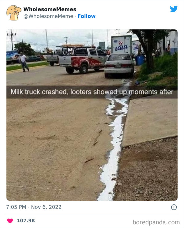 Wholesome-Memes-Pics