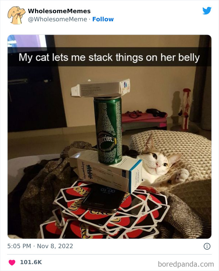 Wholesome-Memes-Pics