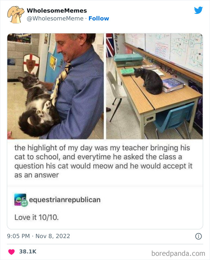 Wholesome-Memes-Pics