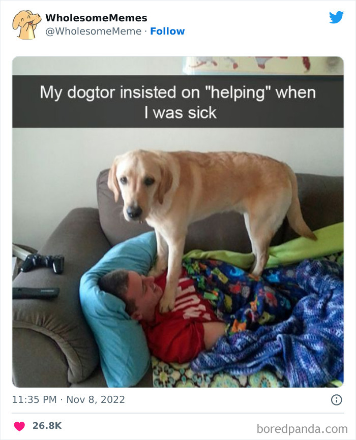 Wholesome-Memes-Pics