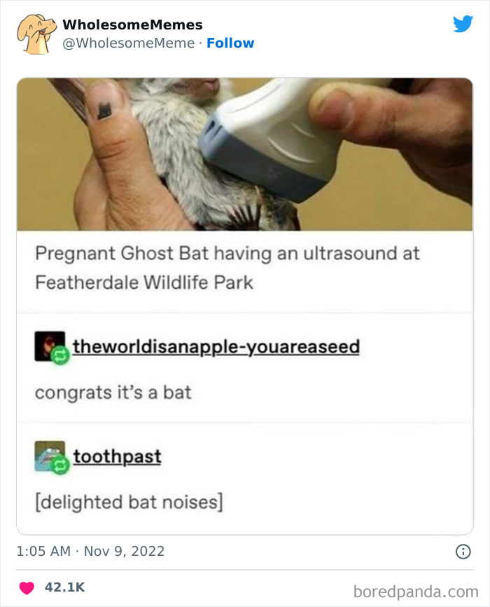 Wholesome-Memes-Pics