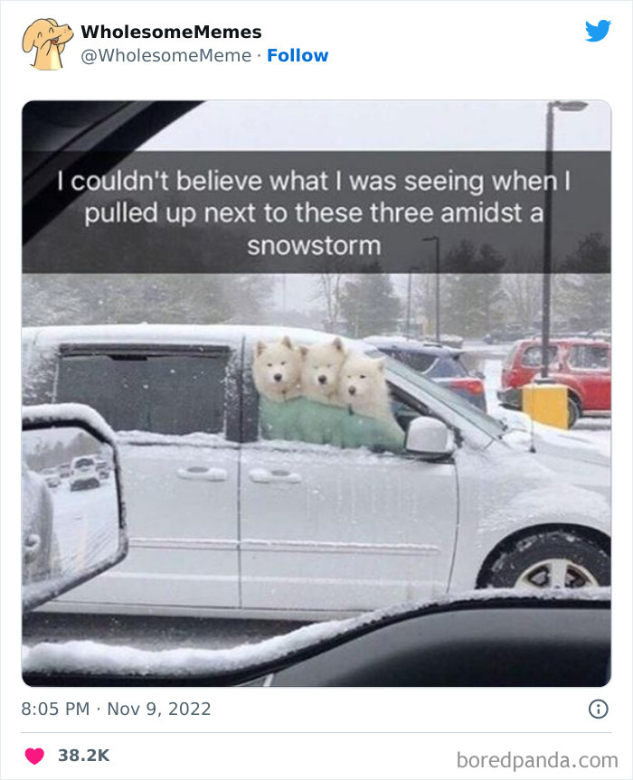 Wholesome-Memes-Pics