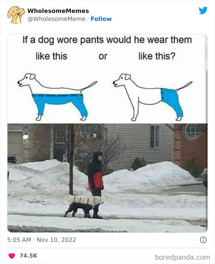 Wholesome-Memes-Pics