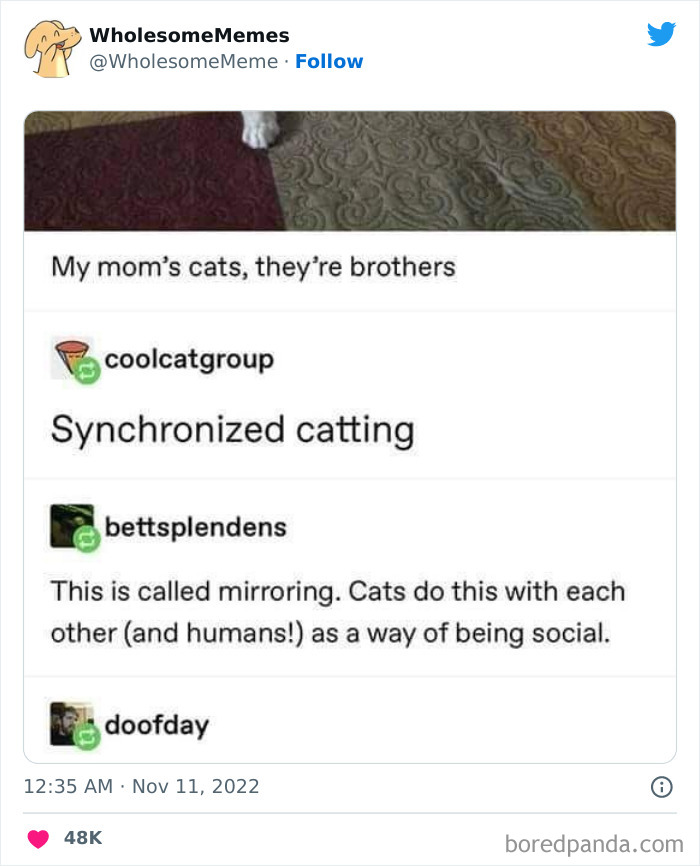 Wholesome-Memes-Pics