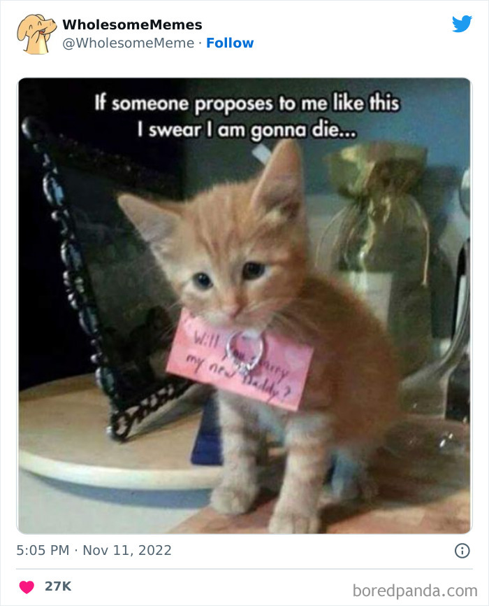 Wholesome-Memes-Pics