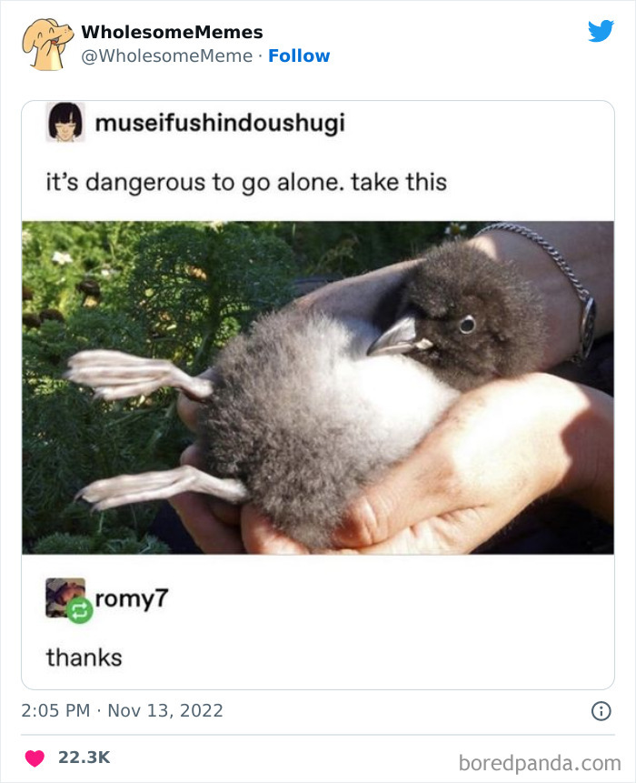 Wholesome-Memes-Pics